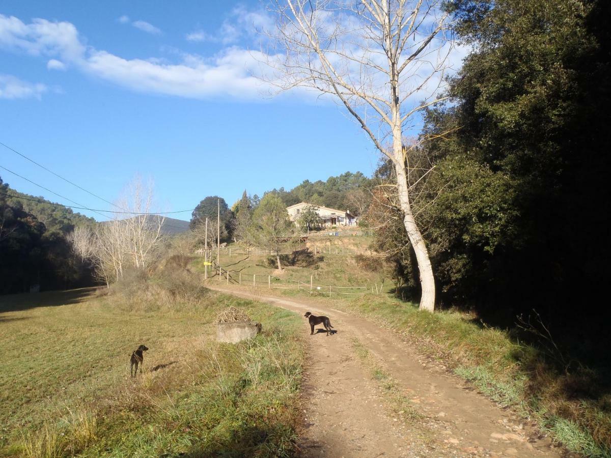 Can Parròquia Sant Esteve De Palautordera Esterno foto